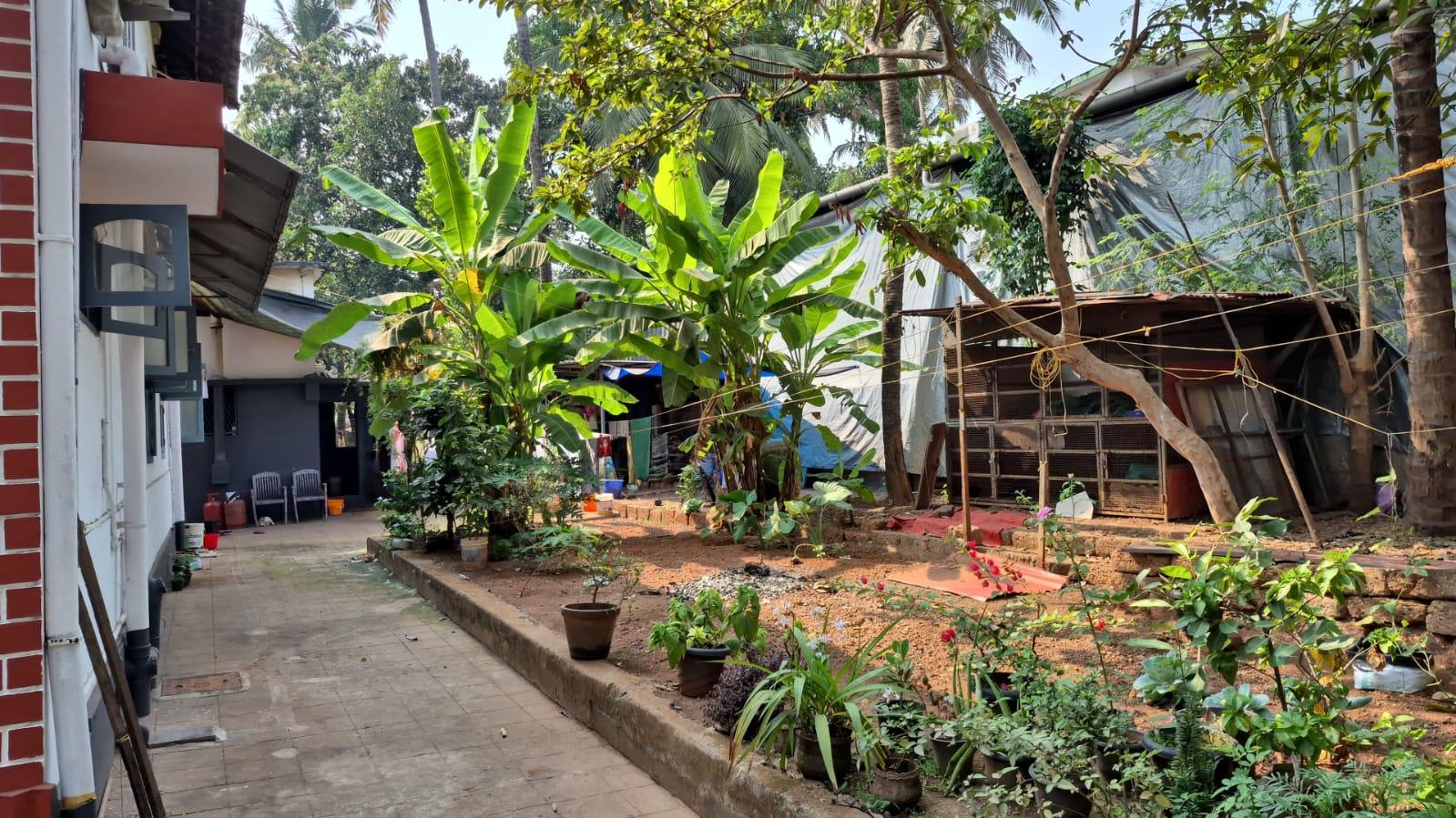 House at Muzhapilangad — photo 5
