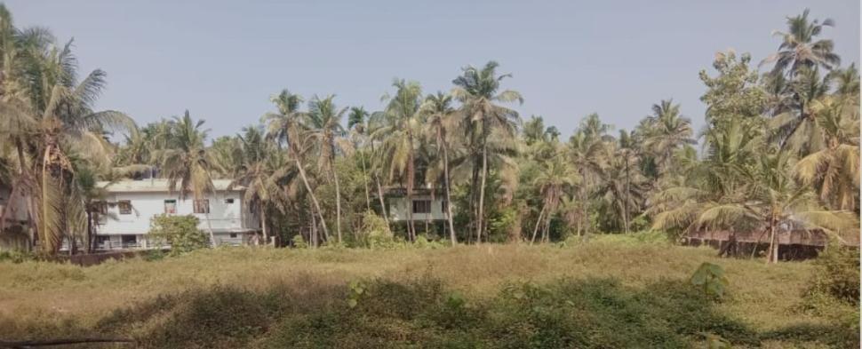 House at Muzhapilangad — photo 1
