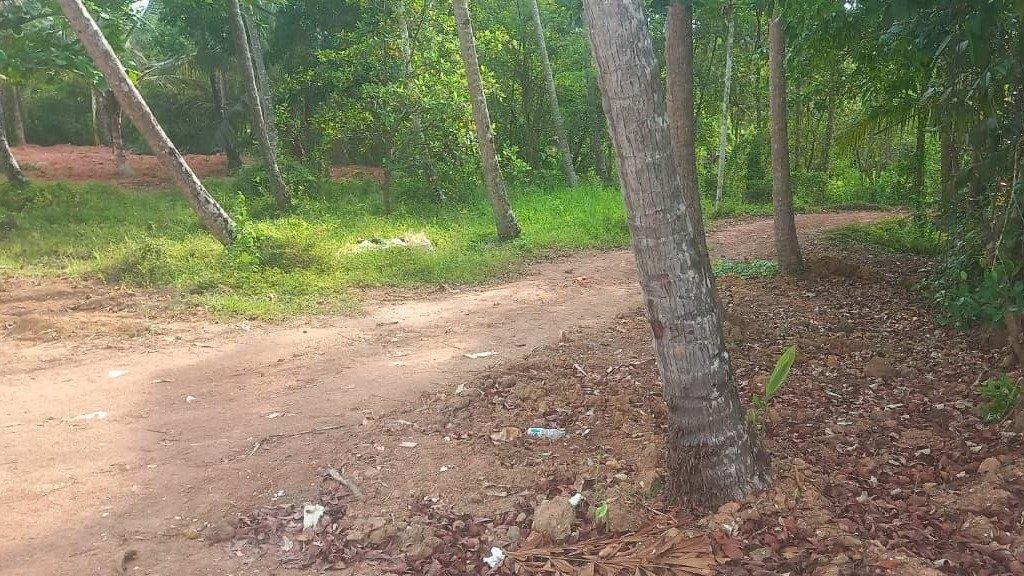 Plot At  Pinarayi — photo 2