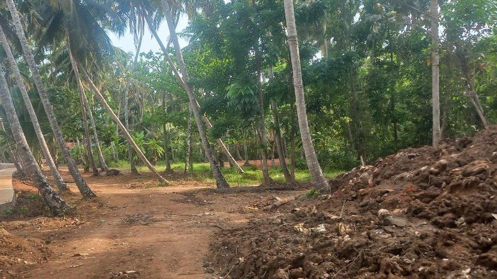 Plot At  Pinarayi — photo 3