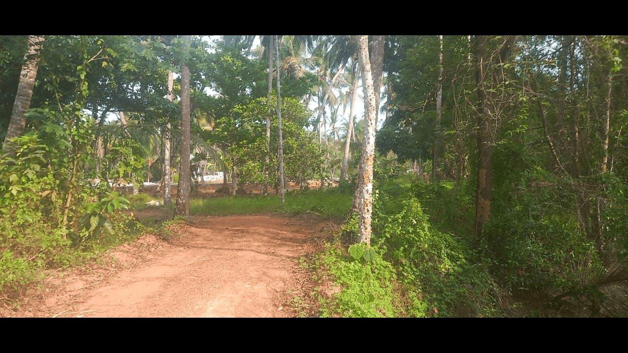 Plot At  Pinarayi — photo 4