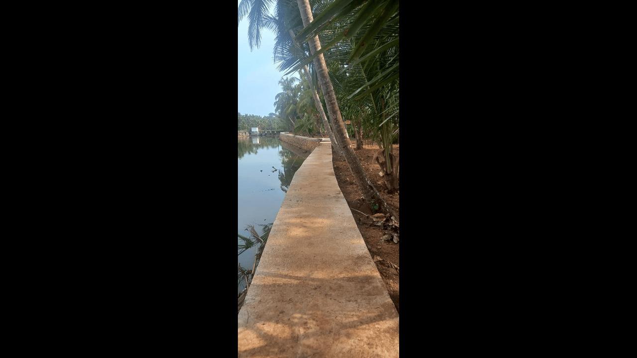 Plot At  Pinarayi — photo 6