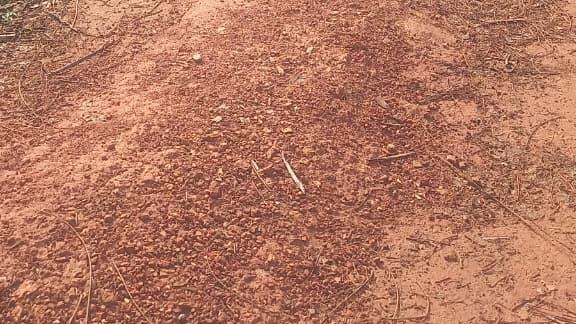 Plot At  Pinarayi — photo 8