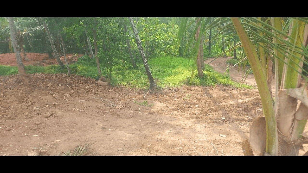 Plot At  Pinarayi — photo 9