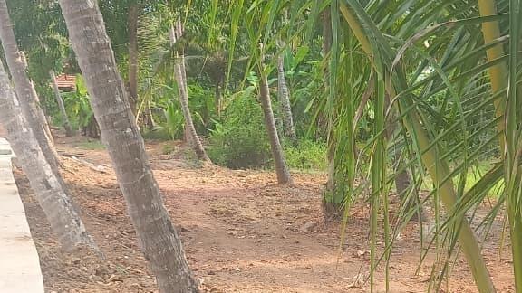 Plot At  Pinarayi — photo 10