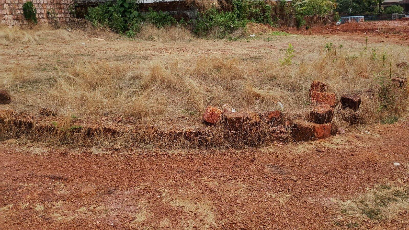 Plot At Thaliparamba in Taliparamba