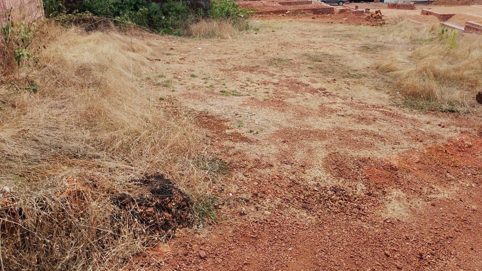 Plot At Thaliparamba — photo 4