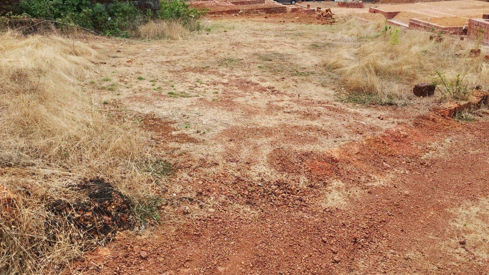 Plot At Thaliparamba — photo 5