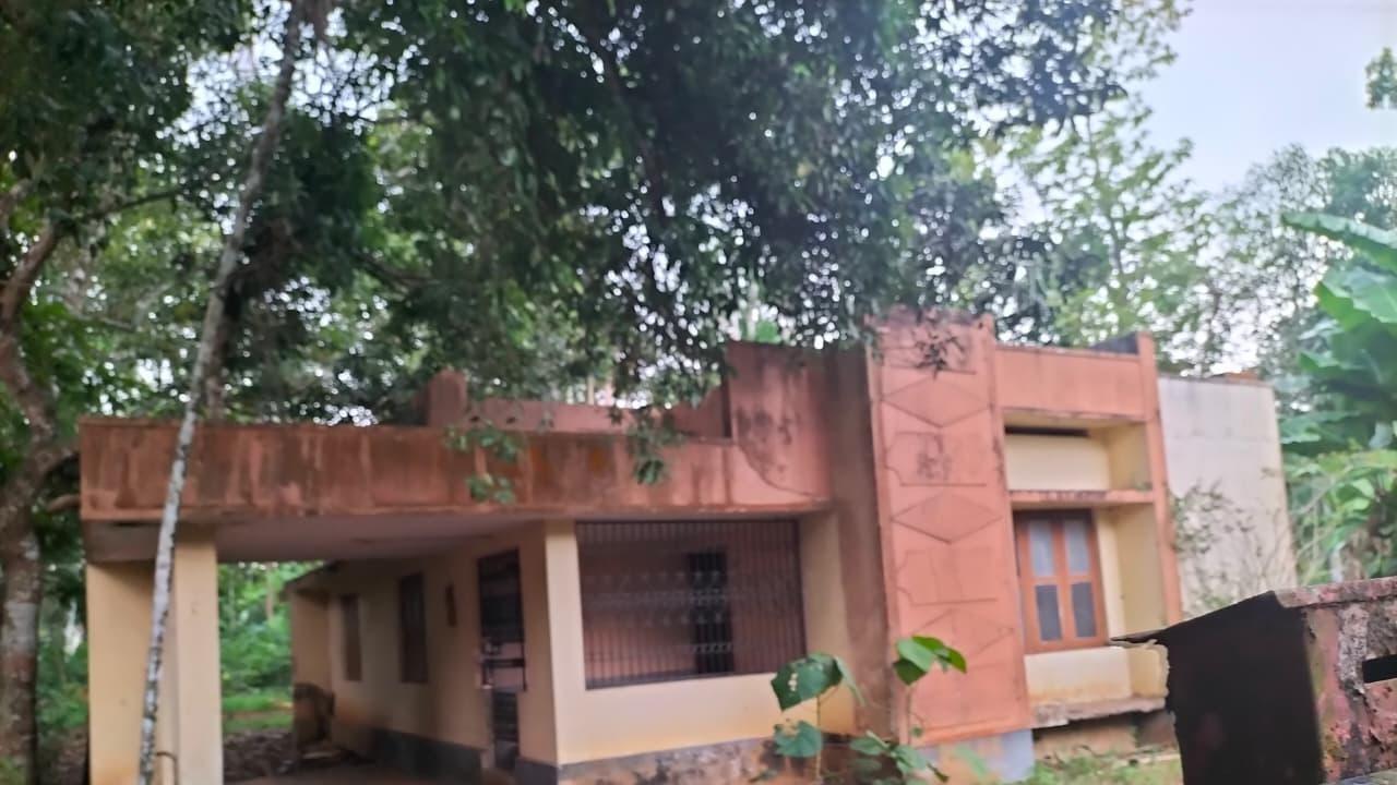 Plot  with old house At Pandalam in Pandalam