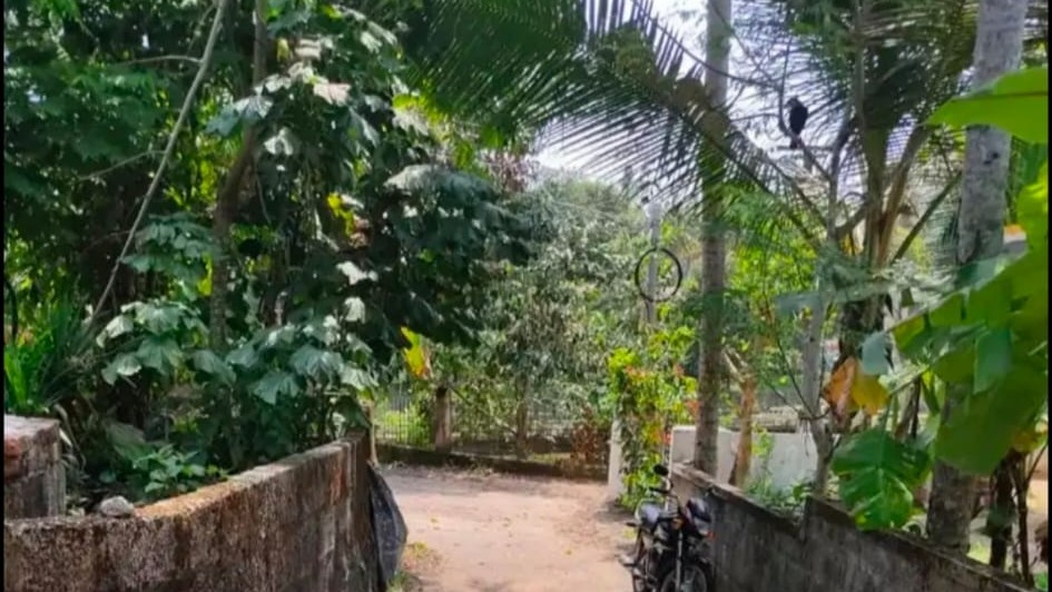  House at sreekaryam — photo 2