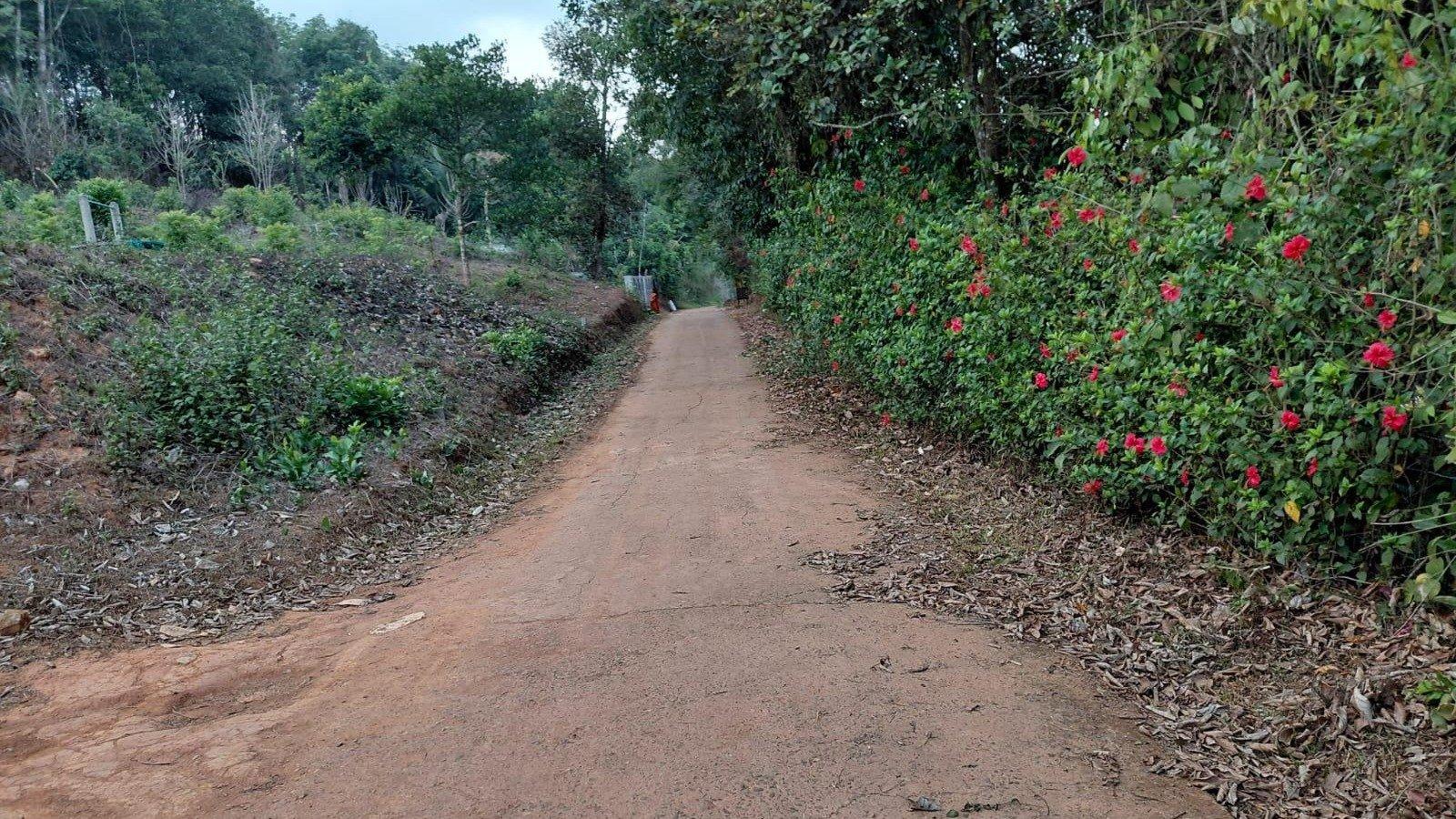 Plot At Manandhavady — photo 3