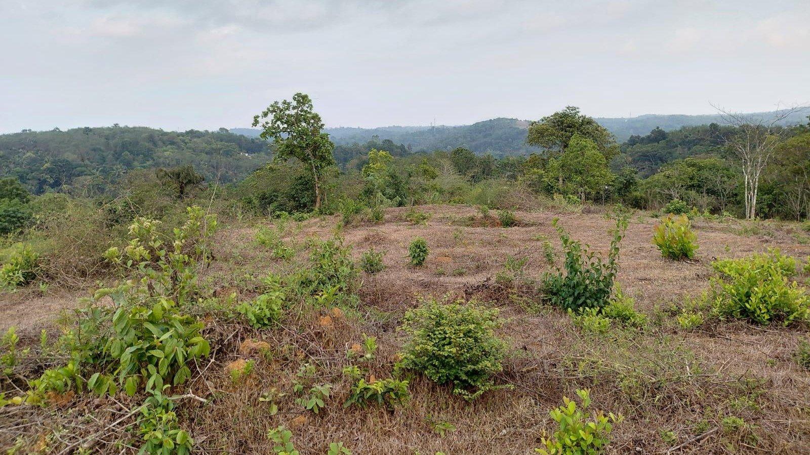 Plot At Manandhavady — photo 4