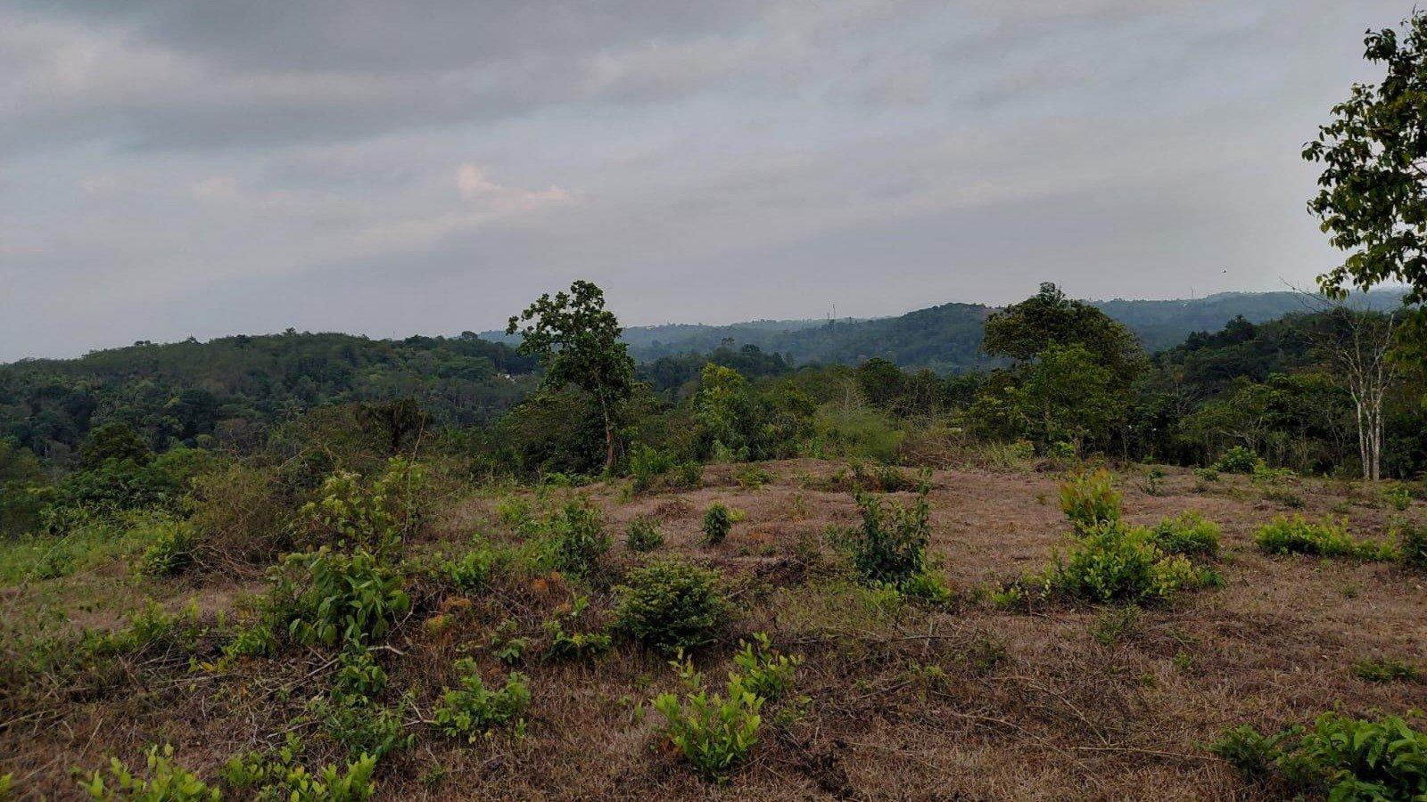 Plot At Manandhavady — photo 1