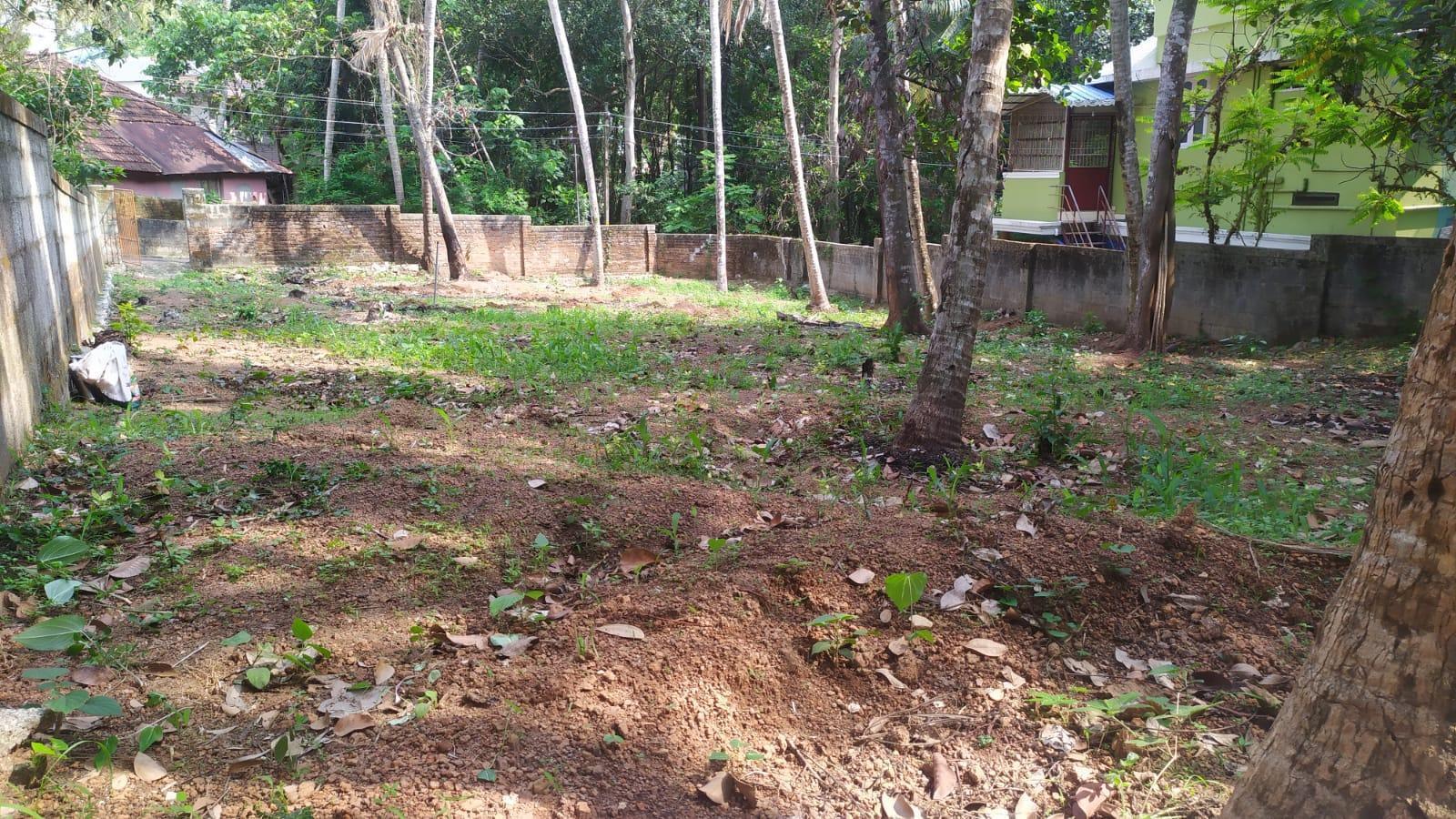 Plot At Thirumala Thiruvananthapuram — photo 4