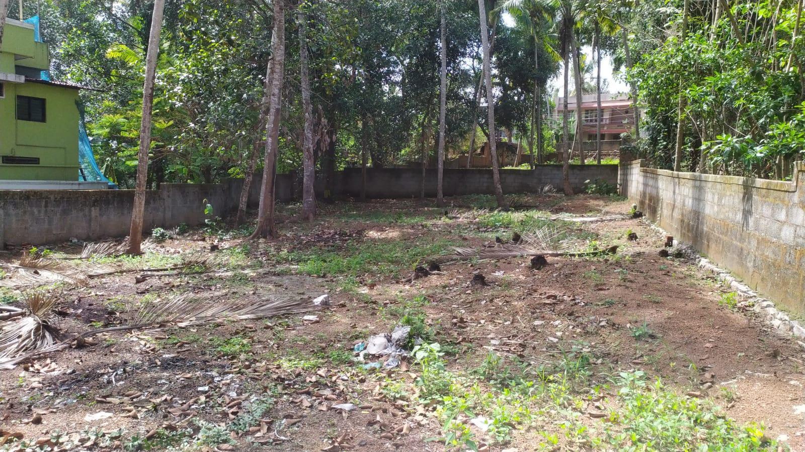 Plot At Thirumala Thiruvananthapuram — photo 5