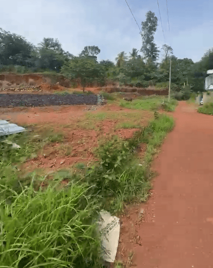 Plot at Cheruvatta — photo 5