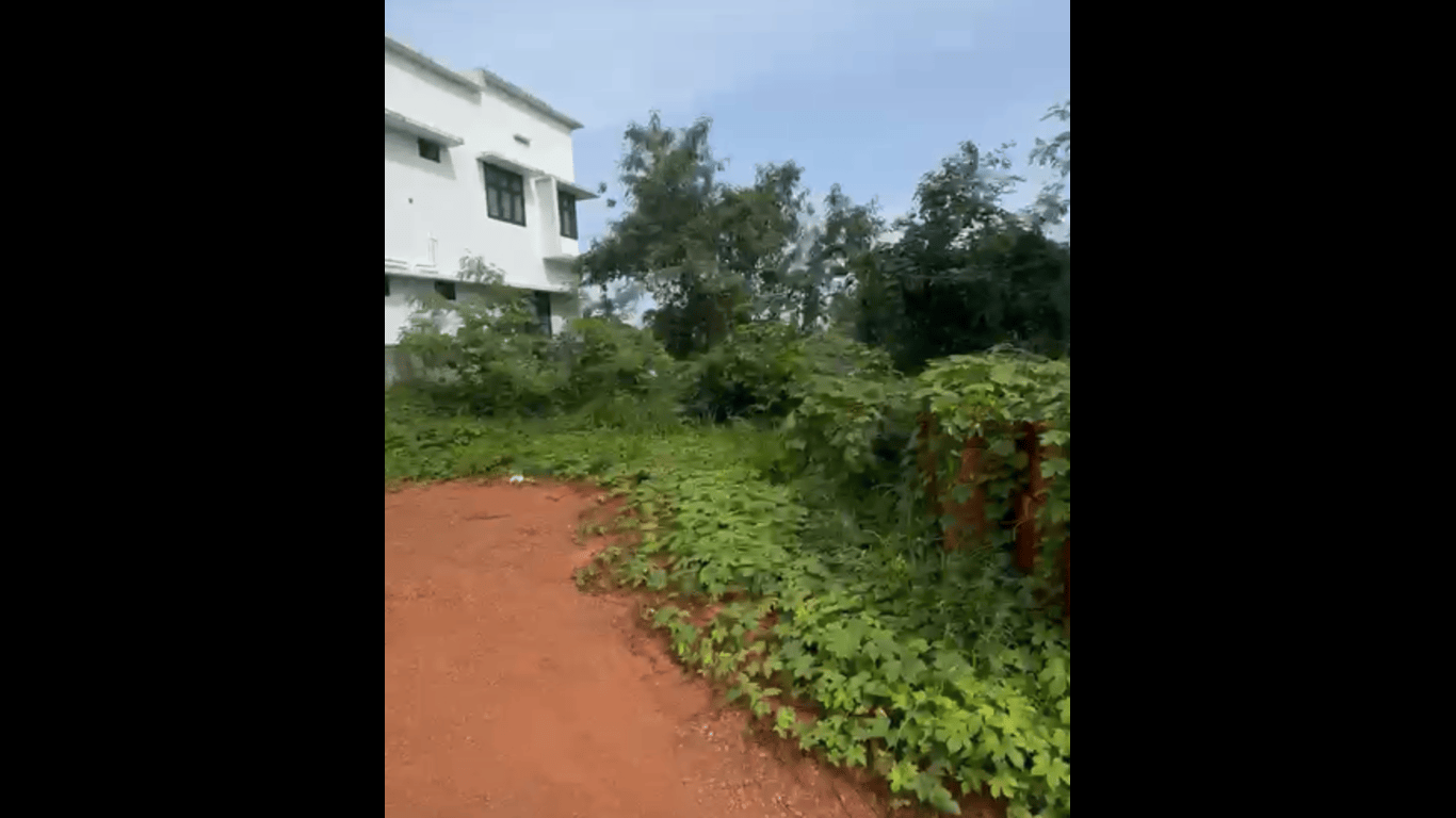 Plot at Cheruvatta — photo 10