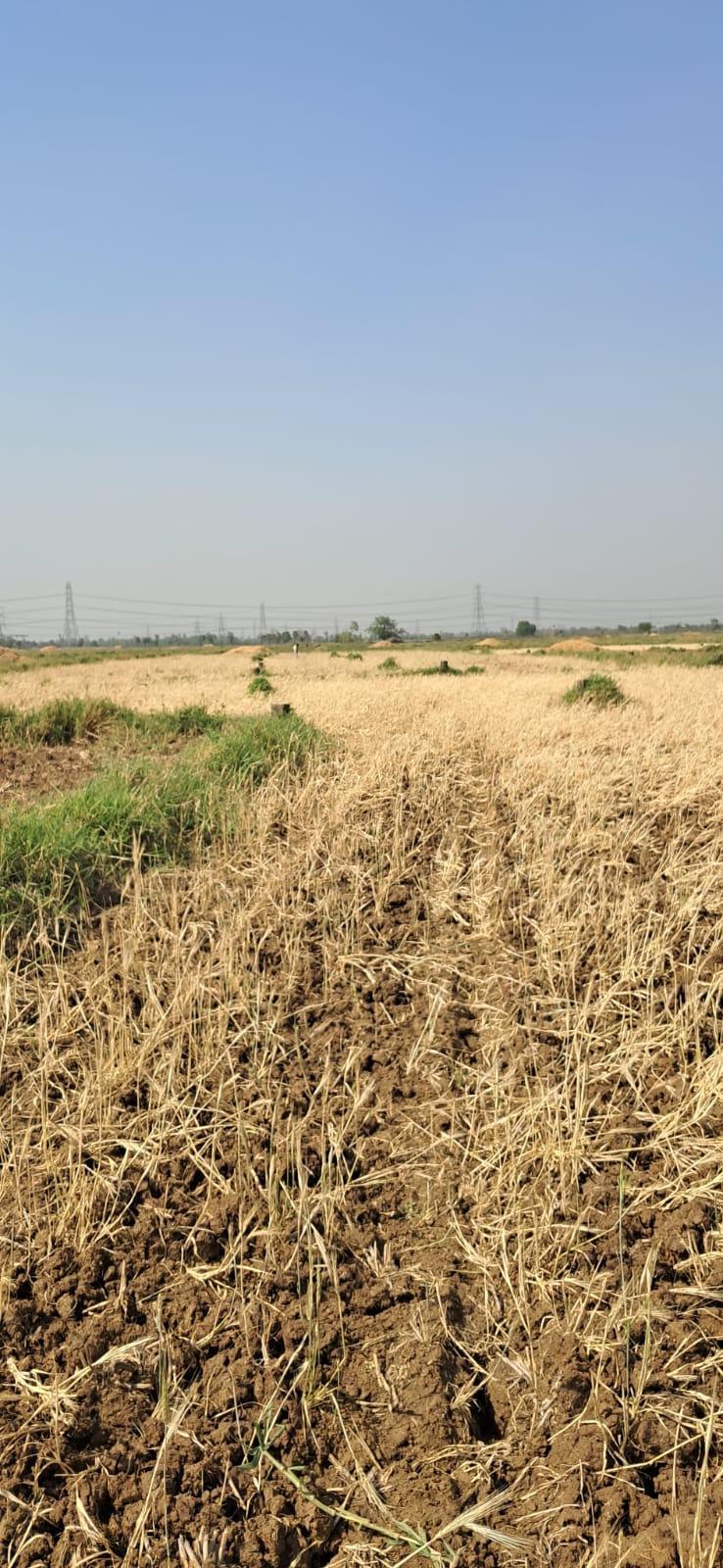 Plot in Goraila, Naubatpur, Patna — photo 2