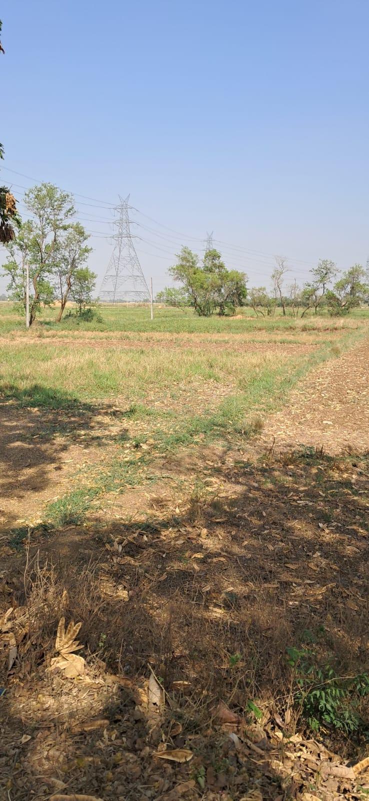 Plot in Goraila, Naubatpur, Patna — photo 4