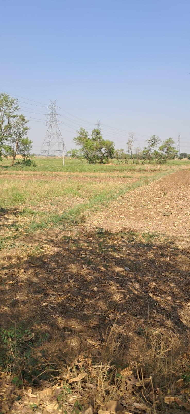 Plot in Goraila, Naubatpur, Patna — photo 5
