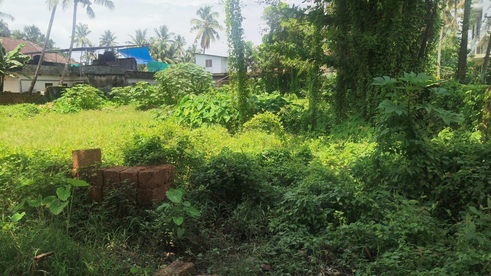 Plot In Thalassery Town, Kannur — photo 2