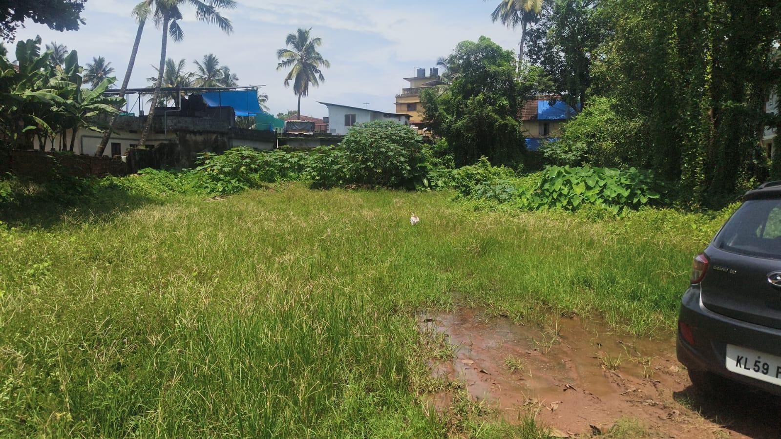 Plot In Thalassery Town, Kannur — photo 3