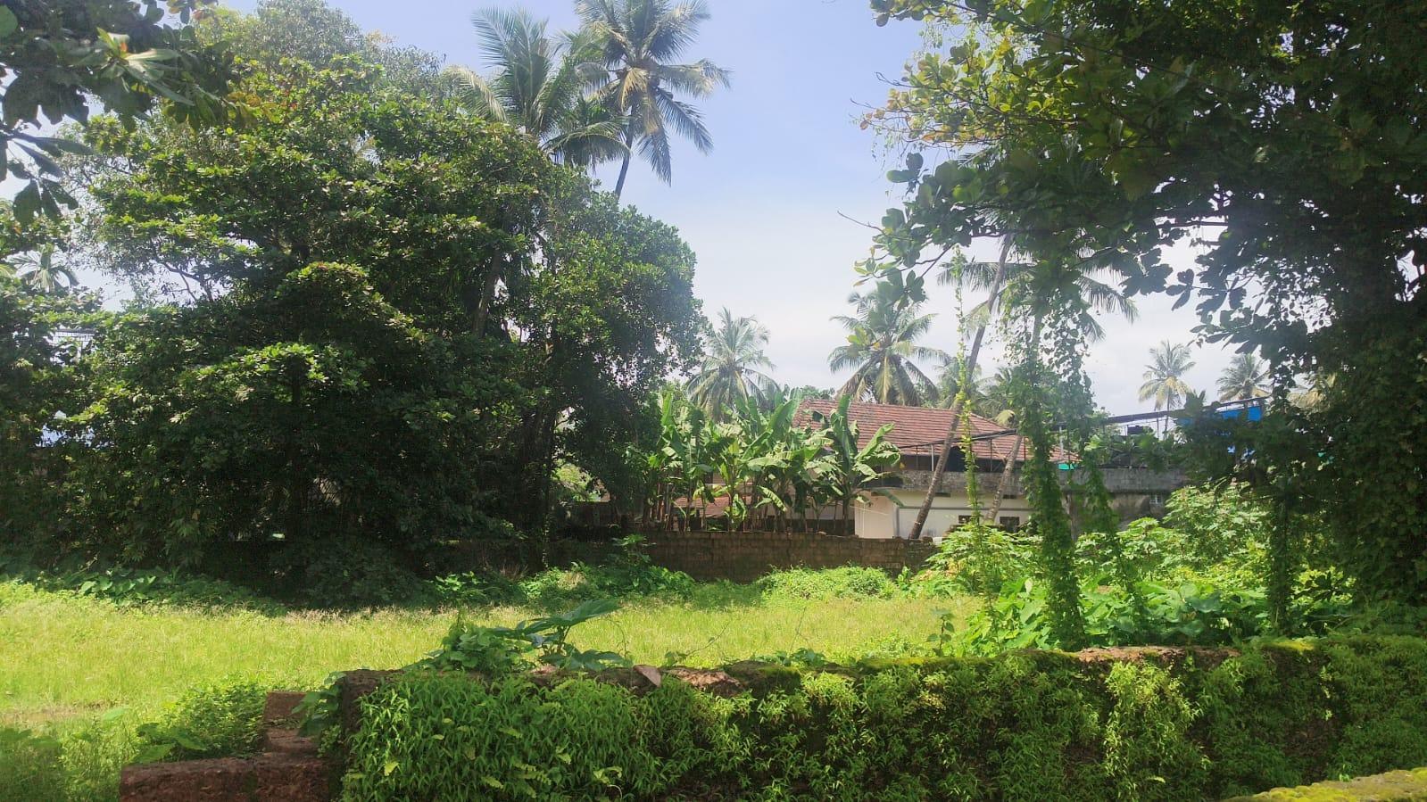 Plot In Thalassery Town, Kannur — photo 7