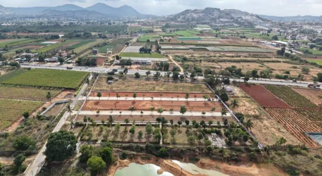 Plot in FQX4+466, Soppalli Rd, Hunegal, Karnataka 562101, India — photo 4