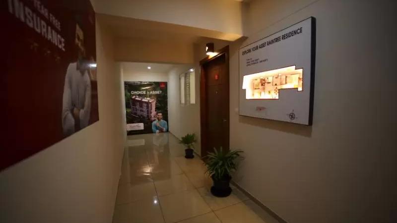 Raintree — photo 10
