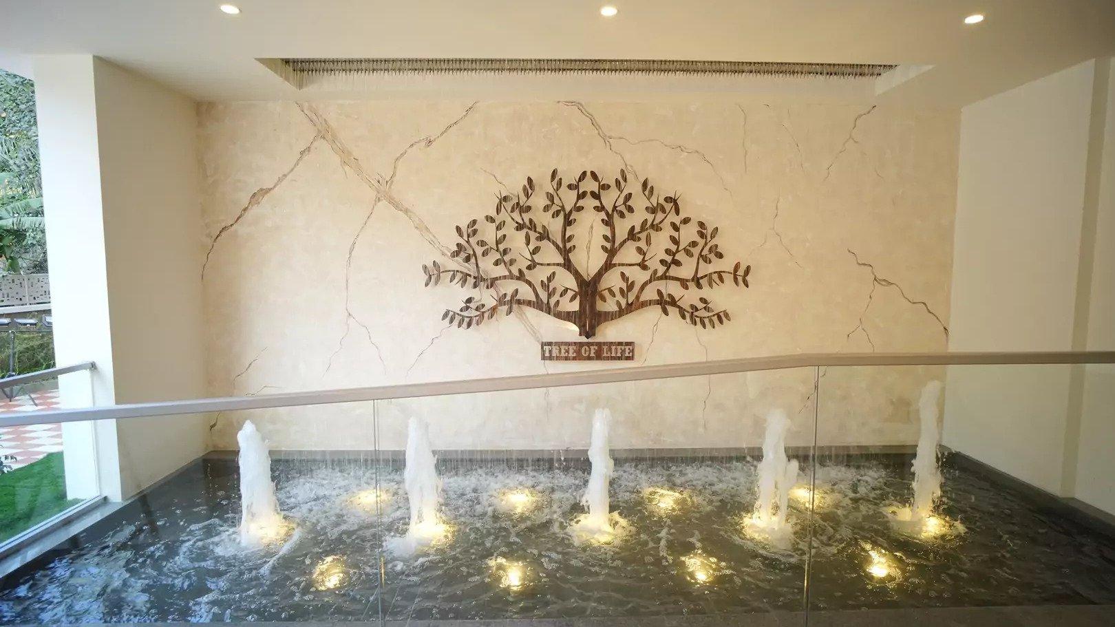 Raintree — photo 11