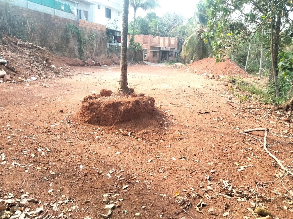 Plot At Varam — photo 2