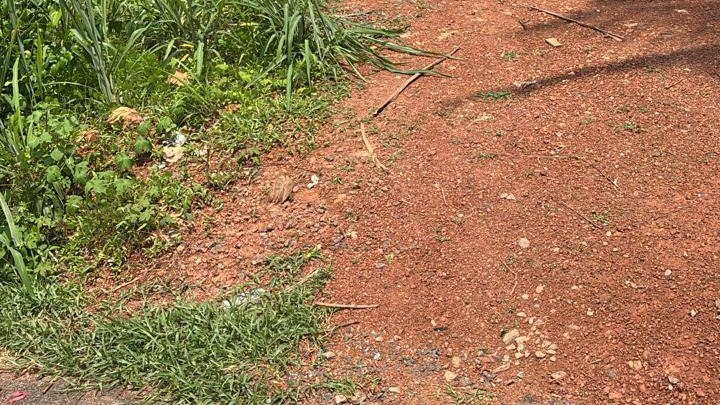 Plot At Varam — photo 1