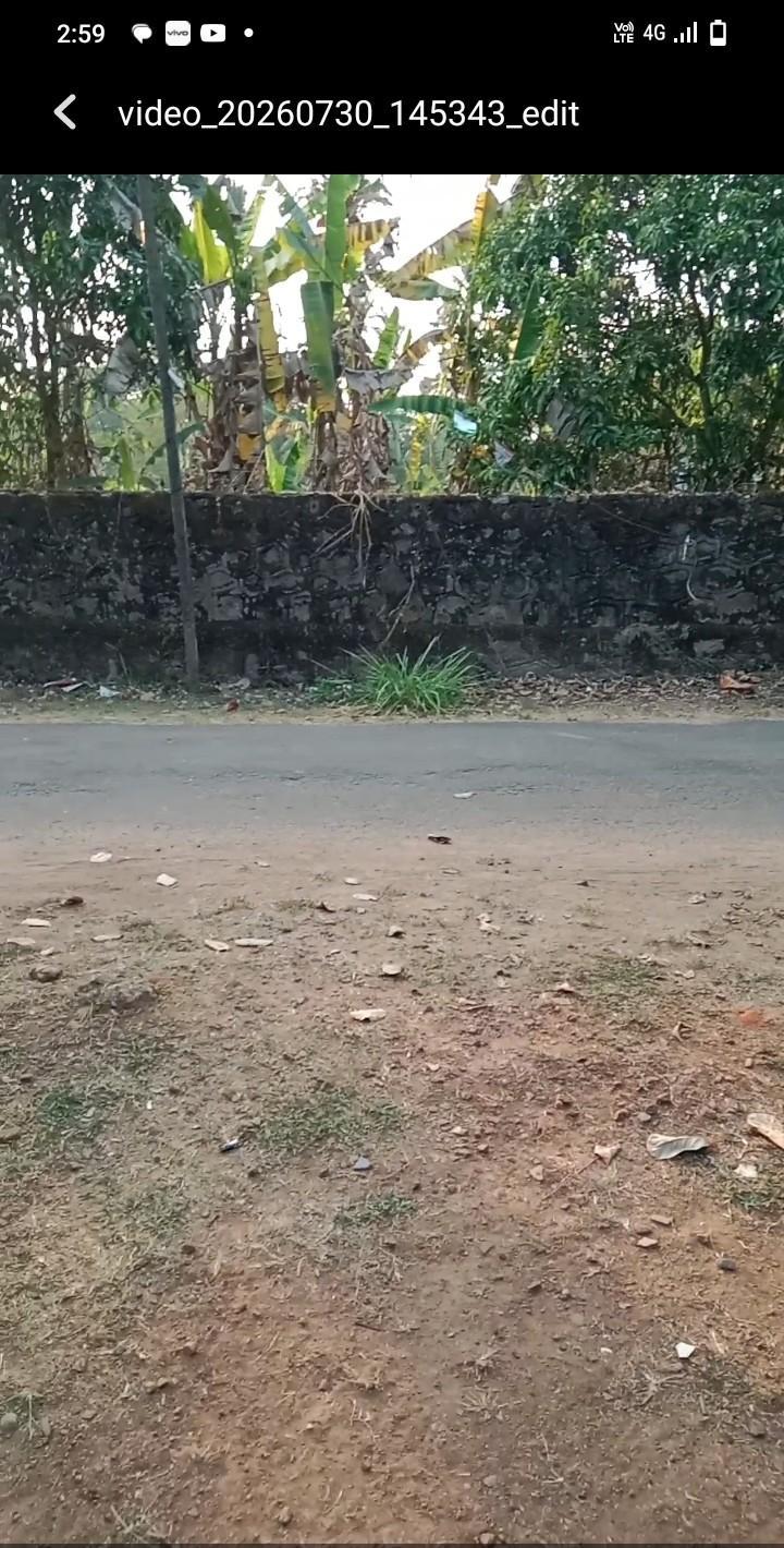 House in 953R+4HP, Irinjalakuda, Kerala 680121, India — photo 5
