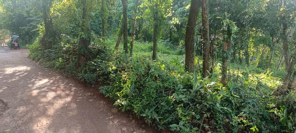 Plot Near Elayavur Temple — photo 1