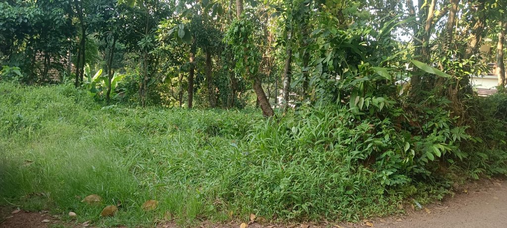 Plot Near Elayavur Temple — photo 2