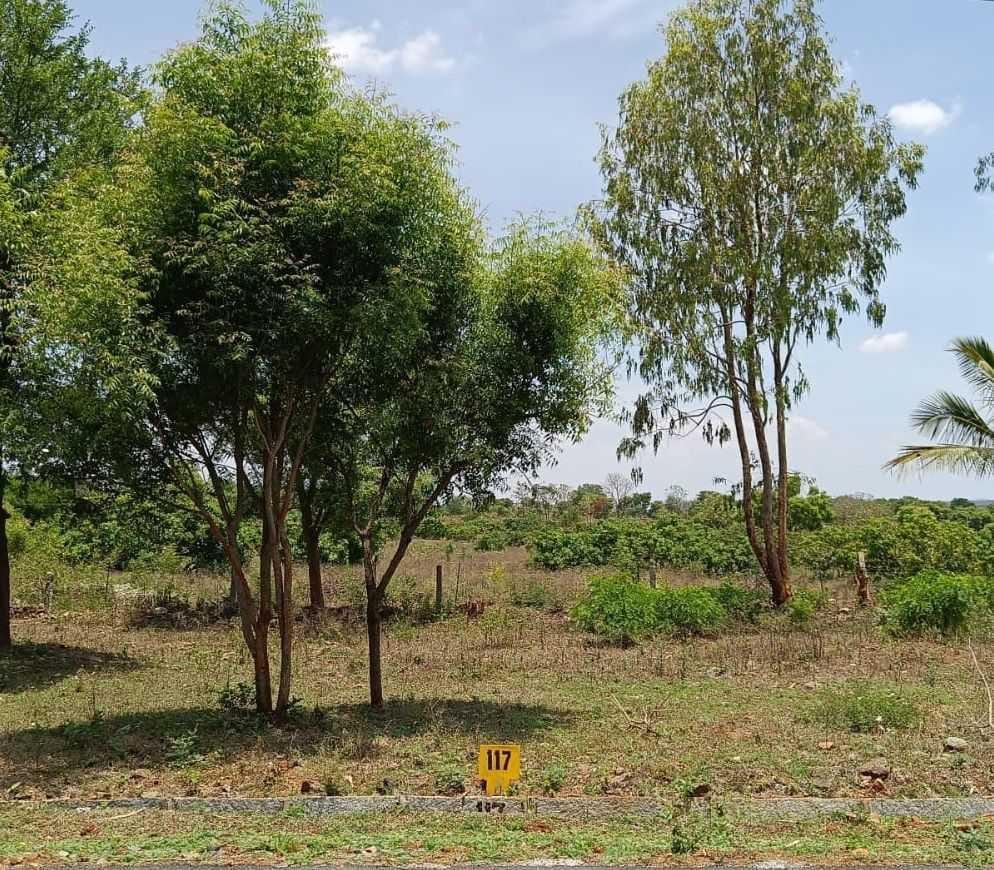 Plot in 570008 — photo 2