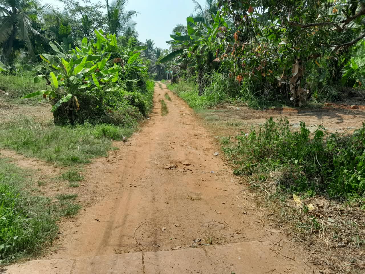 Plot in Thalassery, എരഞ്ഞോളി — photo 1