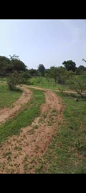 Plot In Hyderabad — photo 1