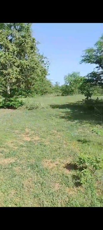 Plot In Hyderabad — photo 3
