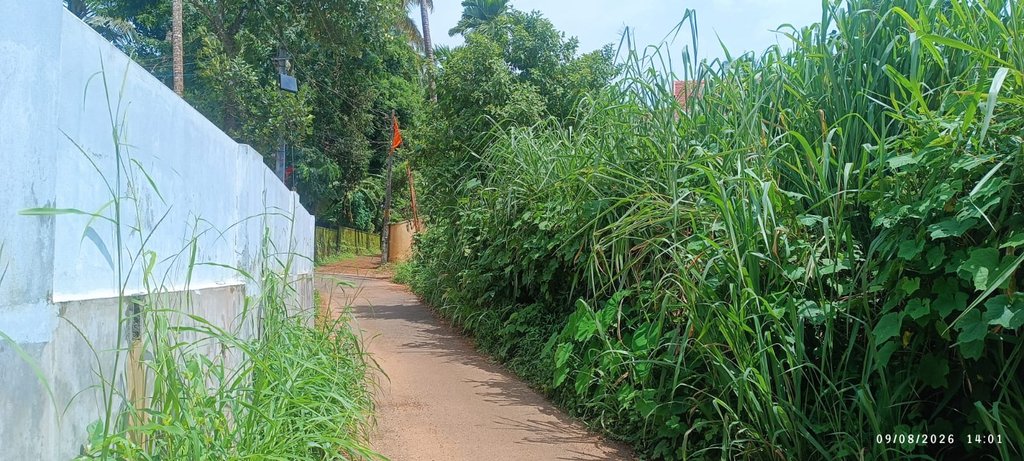 Plot nr  Dharmadam Police Station  — photo 1