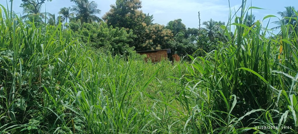 Plot nr  Dharmadam Police Station  — photo 3