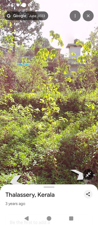 Plot At Sarambi — photo 3