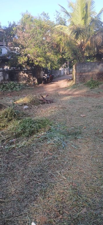 Plot At Azhiyoor — photo 1