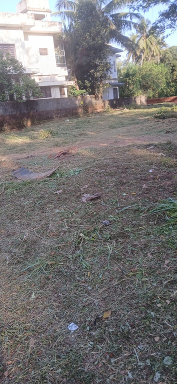 Plot At Azhiyoor — photo 3