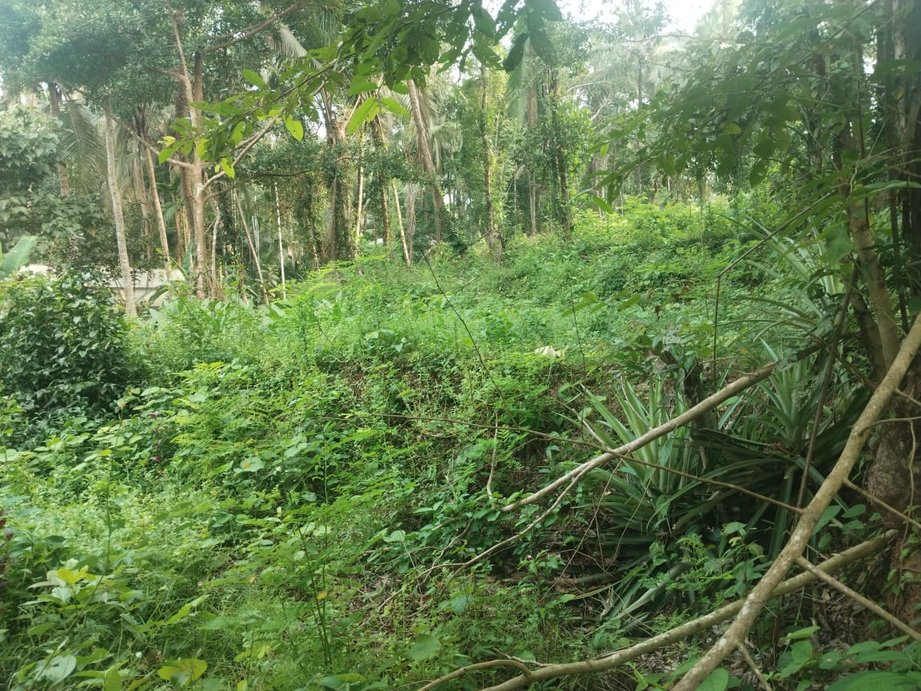 Plot At Penangimetta -1 — photo 4