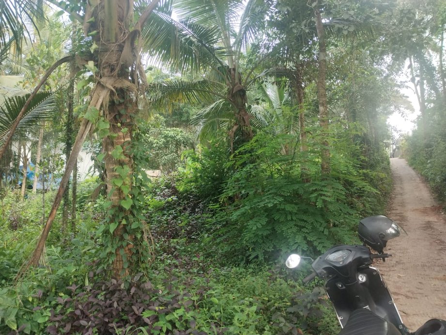 Plot At Penangimetta -1 — photo 2