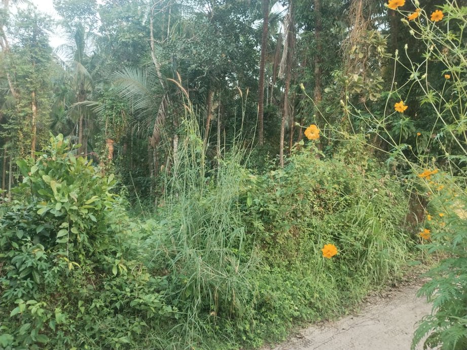 Plot At Penangimetta -2 — photo 4