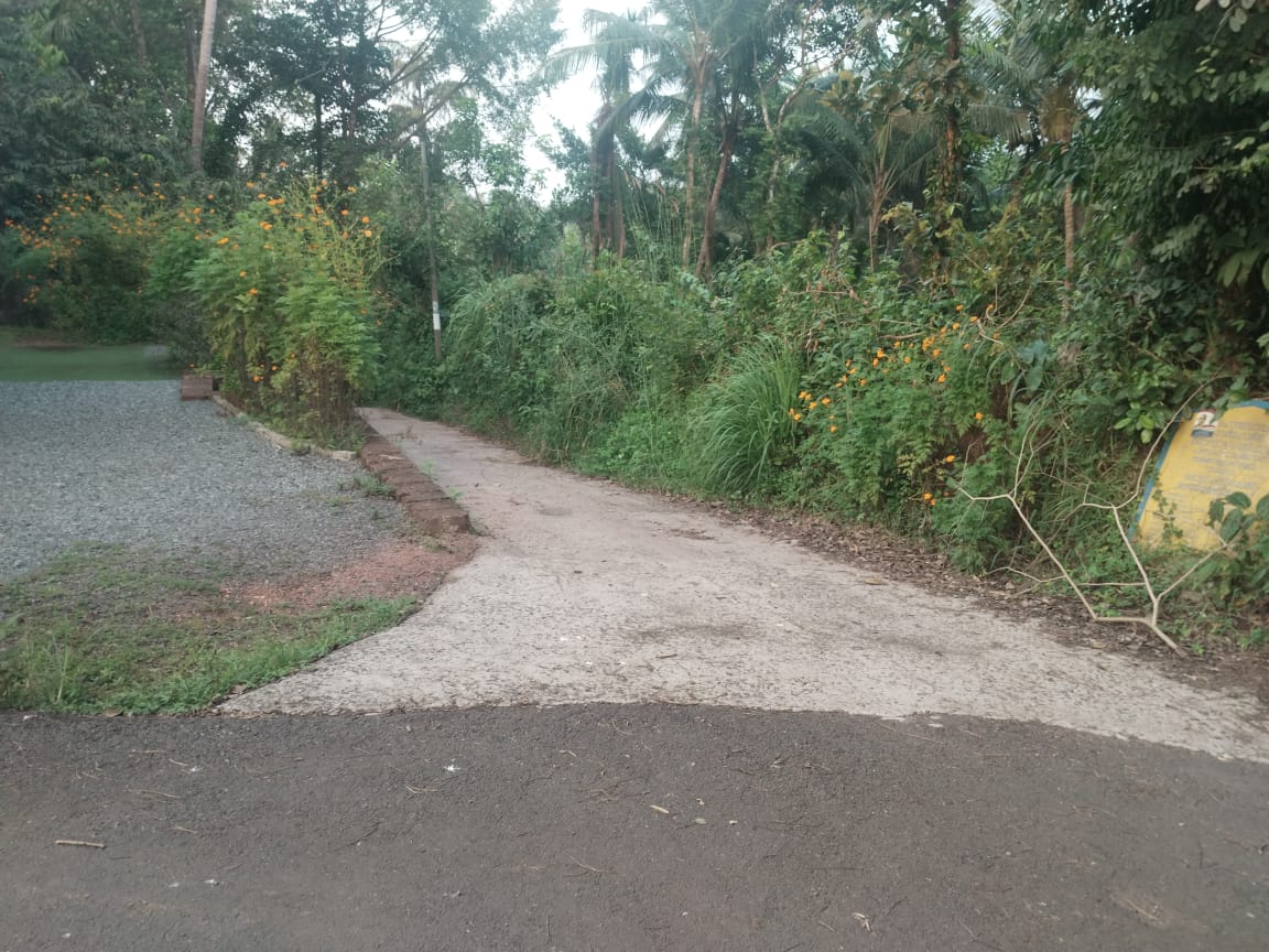 Plot At Penangimetta -2 — photo 1