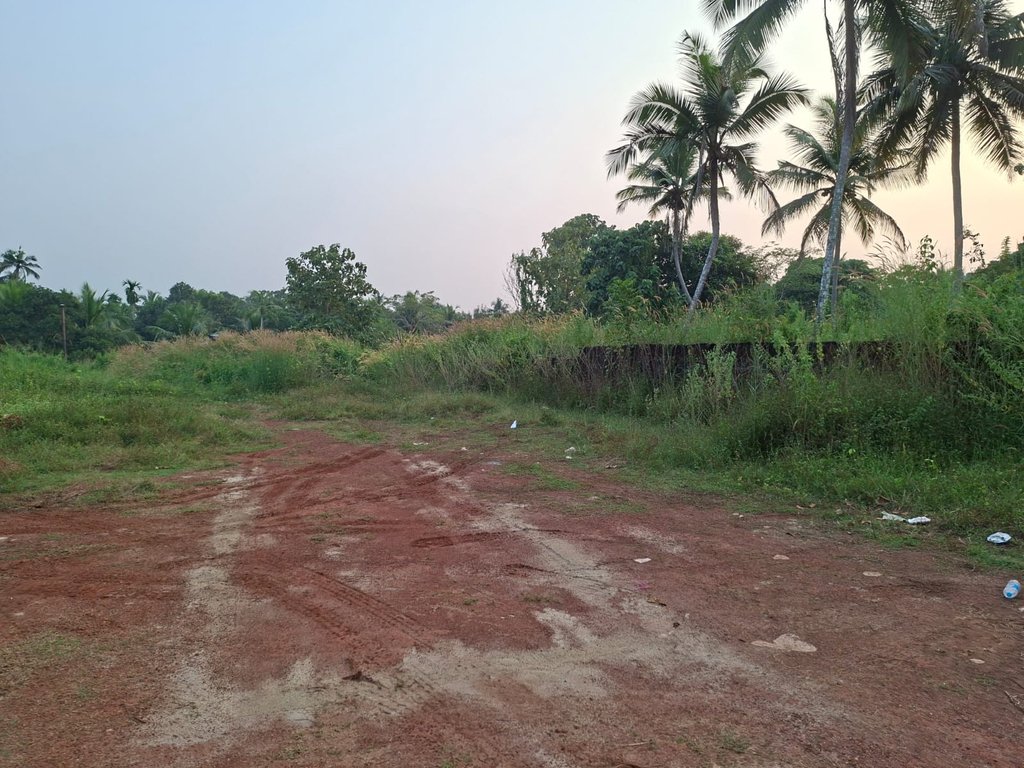 Plot At Pottanpara — photo 4