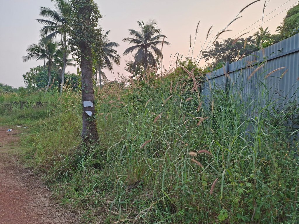 Plot At Pottanpara — photo 3